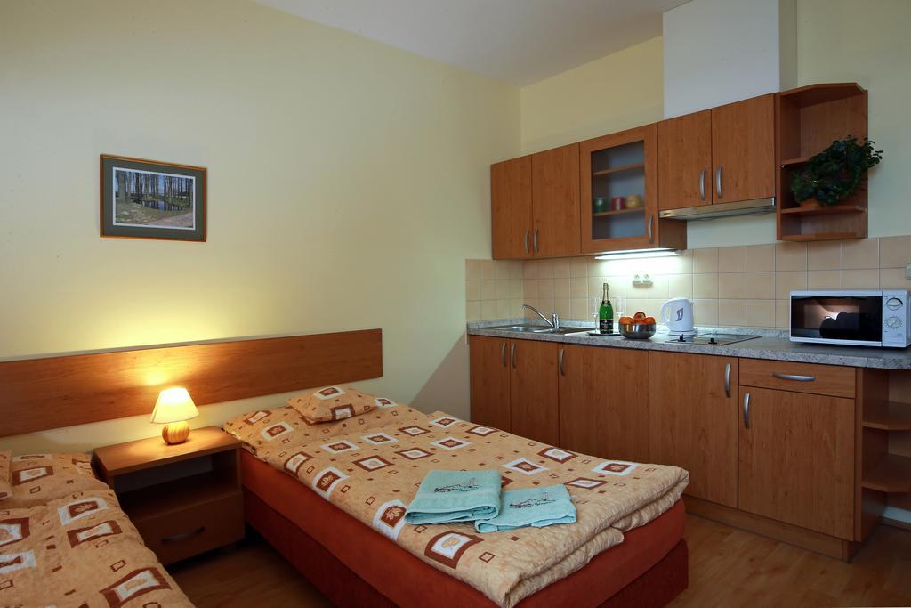 Wellness Penzion Pod Rozhlednou Kostelec nad Orlici ห้อง รูปภาพ